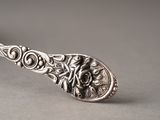 a close up of a silver spoon with a flower design on it