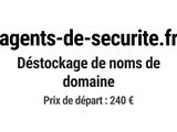 Photo 1/1 du lot