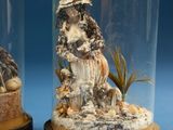 two glass cloches that have shells inside of them