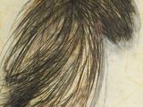 drawing of a woman ' s long hair with two birds perched on top of her head