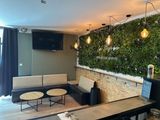 une photo d'un salon avec des canapés et un mur végétal