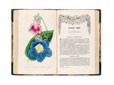 un livre sur lequel figure l'image d'une fleur