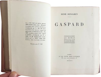 quelqu'un tient dans sa main un livre ouvert sur lequel figure l'image d'un Gaspard