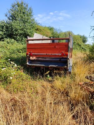 a red truck that is sitting in the middle of a field