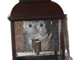 une lanterne marron avec un ours en peluche à l'intérieur