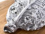 Photo 2/2 du lot
