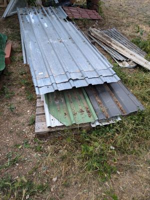 un tas de vieilles tôles de toiture qui traînait dans l'herbe