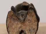 a close up of a piece of wood with a piece of wood sticking out of it