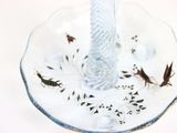 a lot of bugs that are on this glass plate