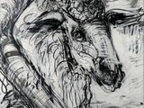un dessin en noir et blanc représentant une chèvre dans les bois