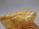 a snail sitting on top of a bowl on a table