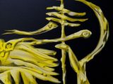 painting of a skeleton on a cart with a skeleton in the back