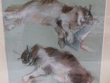 deux chats qui se couchent sur le sol