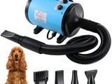 un chien assis à côté d'un sèche-cheveux