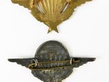 two badges with wings and a coin on a white surface