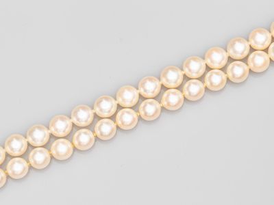 un rang de perles sur fond blanc