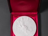 a close up of a medal in a red box on a table
