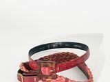 Ensemble collier et laisse pour chien en cuir tressé rouge et marron