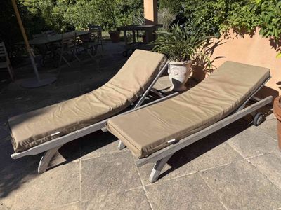 two chaise loungers on the patio near a potted plant