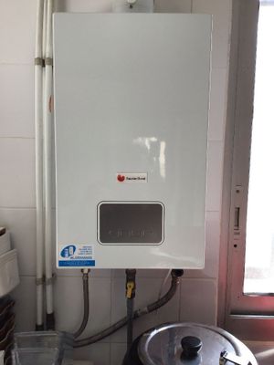 Chaudière Gaz de marque SAUNIER DUVAL; LOTS A RETIRER SUR RV VENDREDI 