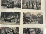 several black and white photos of elephants and people in a zoo