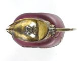 a red apple with a gold leaf on top of it