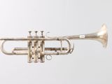 an old silver trumpet hanging from a string on a wall