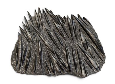 une pierre hérissée de pointes posée sur une surface blanche