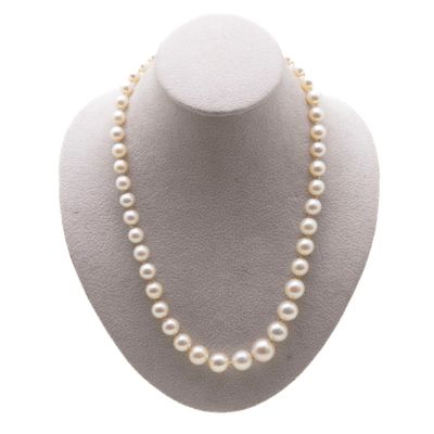gros plan d'un collier de perles sur un mannequin