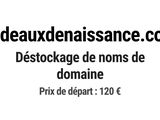 Photo 1/1 du lot