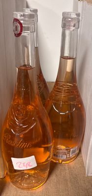 deux bouteilles de vin posées l'une à côté de l'autre sur le comptoir