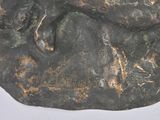 a bronze statue of a man with a horse on a rock