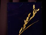 a close up of a plant on a table with a dark background