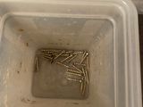 screws in a container on the floor of a bathroom