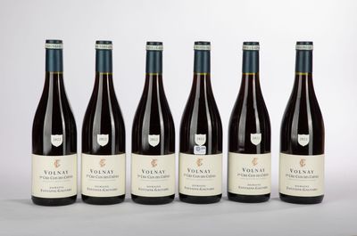 six bouteilles de vin sont alignées sur une surface blanche