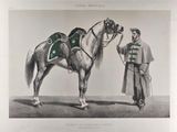a drawing of a man standing next to a horse