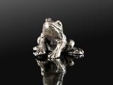a silver frog sitting on top of a rock on a black surface