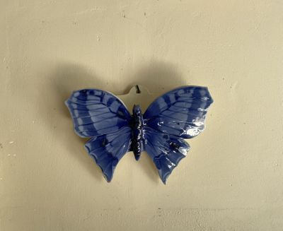 un papillon bleu posé sur le mur d'une pièce