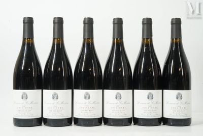 six bouteilles de vin sont alignées sur une surface blanche