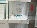 a display case with jewelry on it in a store