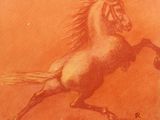 dessin représentant un cheval se cabrant sur ses pattes arrière