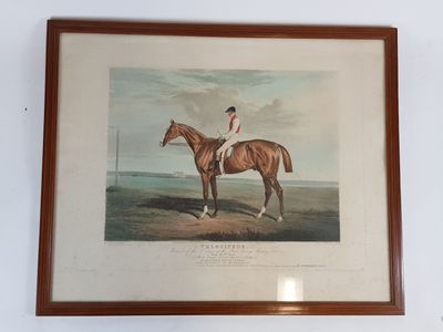une vieille photo représentant un homme à cheval dans un champ