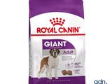 royal canin giant adult dry dog food