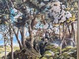 Photo 3/17 du lot
