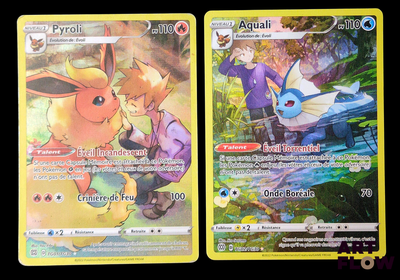 Deux cartes Pokémon sont représentées côte à côte sur un fond noir.