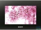 Le cadre photo Sony est représenté avec des fleurs roses dessus.