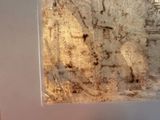 a close up of a window with a dirty glass on it