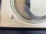 a book with a picture of a seal on it