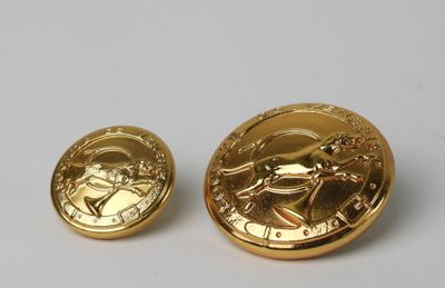 a close up of two gold coins on a white surface