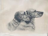 deux chiens assis l'un à côté de l'autre